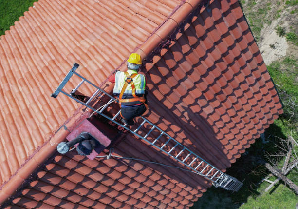 Best Sheet Metal Roofing  in Richville, OH